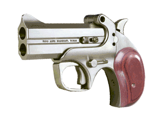 Bond Arms Century 2000 Variant-1