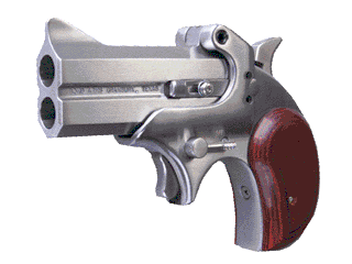Bond Arms Pistol Cowboy Defender .357 Rem Max Variant-1