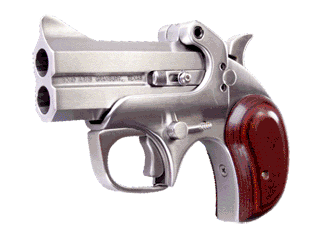Bond Arms Pistol Texas Defender .44 S&W Spl Variant-1