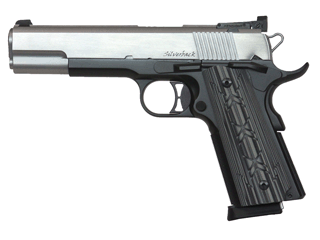 Dan Wesson Pistol Silverback 10 mm Variant-1