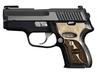 SIG Pistol P224 .40 S&W Variant-3