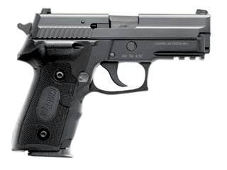 SIG Pistol P229 .40 S&W Variant-4