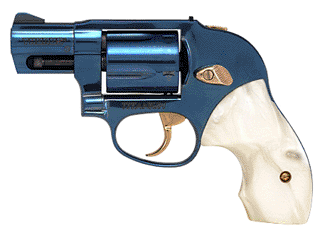 Taurus Revolver Protector 851 .38 Spl +P Variant-6