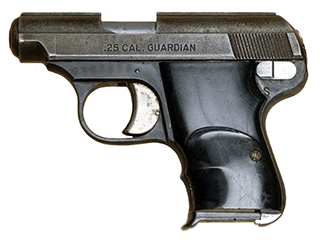FIE Guardian Variant-1