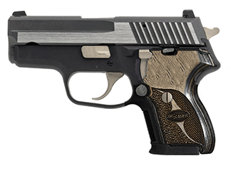 SIG P224 Variant-6